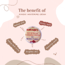 Khushi Skin Whitening Cream For Men and Women