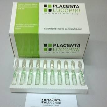 Lucchini Sheep Placenta